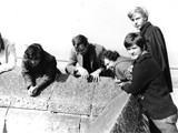 3_Frankenhsn_Herbst_1969_13