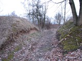 3_Schule_06